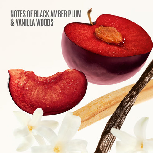 Sol de Janeiro Make A Bright Entrance Paradise Scent