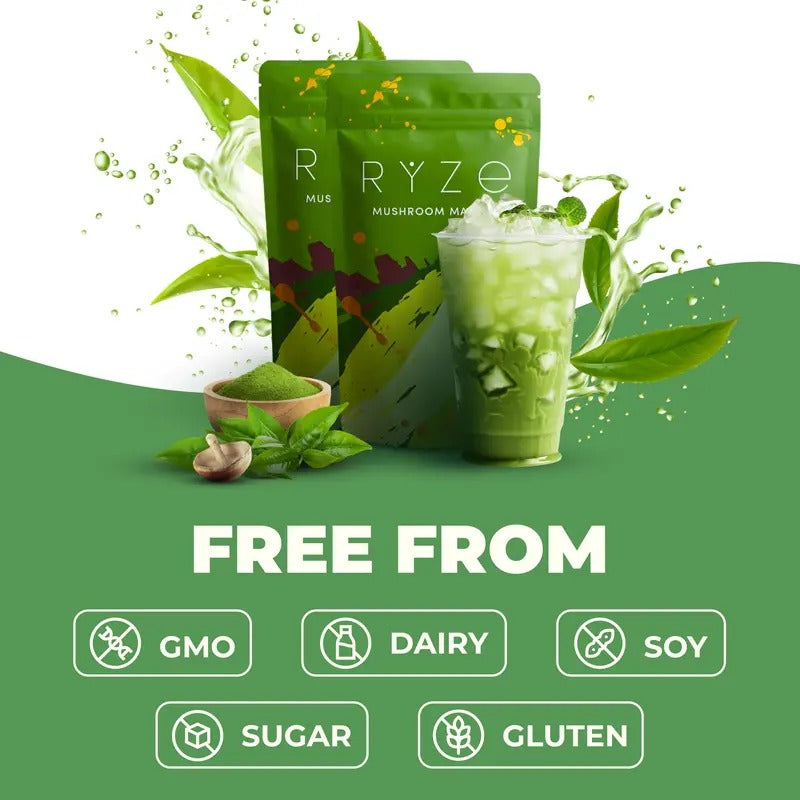 RYZE Mushroom Matcha Starter Kit – USDA Organic, 6 Adaptogenic Mushrooms & Ceremonial-Grade Japanese Matcha | Energy, Focus, Digestion & Immunity, 60 Servings