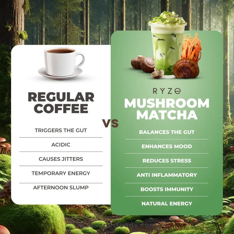 RYZE Mushroom Matcha Starter Kit – USDA Organic, 6 Adaptogenic Mushrooms & Ceremonial-Grade Japanese Matcha | Energy, Focus, Digestion & Immunity, 60 Servings