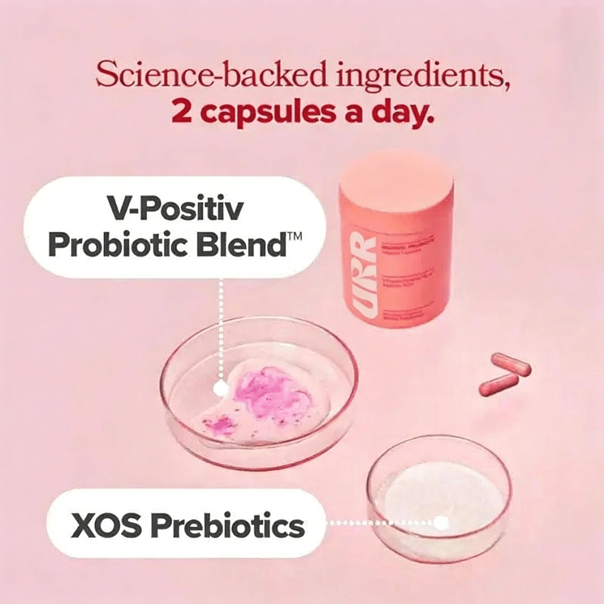 URR-Prebiotics & Lactobacillus Complex – Premium Probiotics For Women