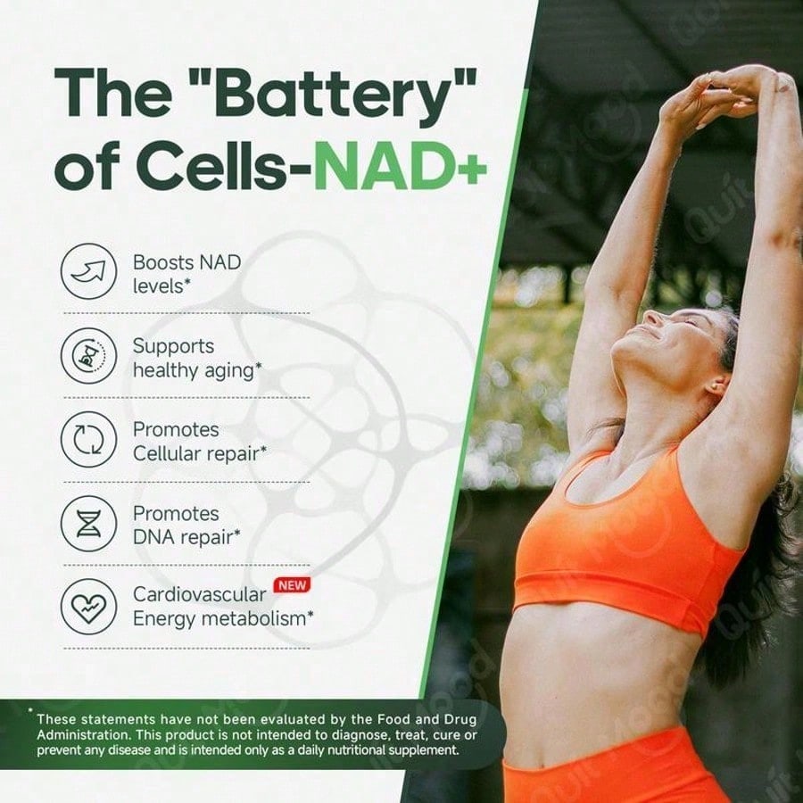 Quitmood NR1000Supplement -Liposomal Nicotinamide Riboside,Resveratrol,Quercetin By Quitmood- High PurityNAD Supplement For Skin Aging Support, Energyand Focus -80 Capsules Healthcare FitnessDietary Edible