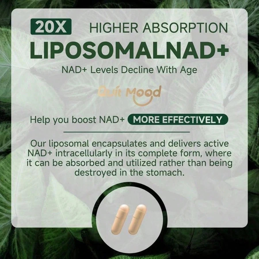 Quitmood NR1000Supplement -Liposomal Nicotinamide Riboside,Resveratrol,Quercetin By Quitmood- High PurityNAD Supplement For Skin Aging Support, Energyand Focus -80 Capsules Healthcare FitnessDietary Edible