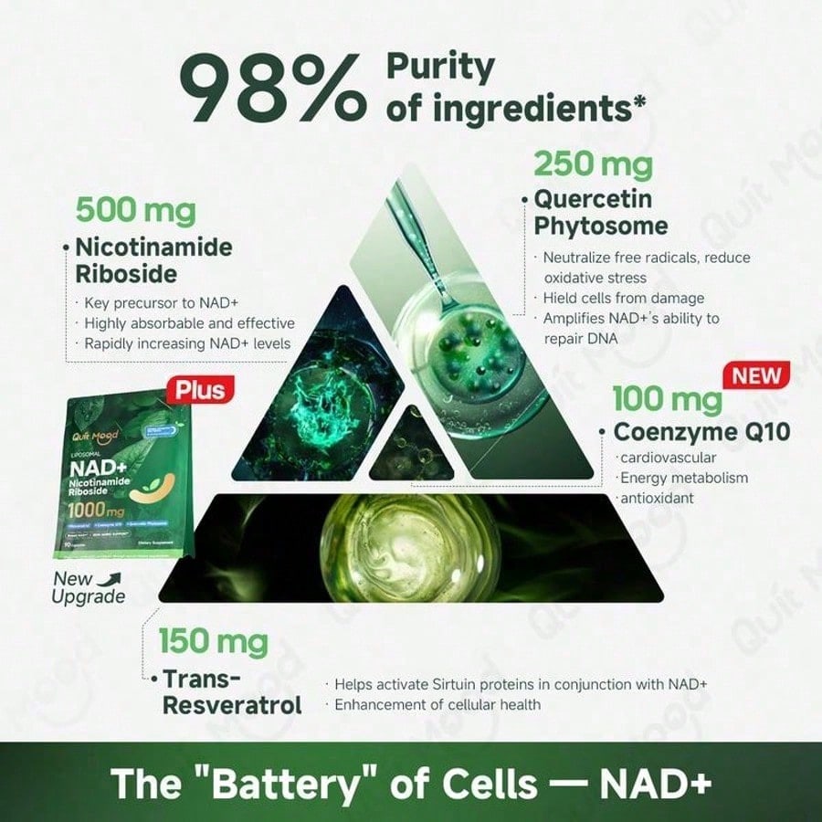 Quitmood NR1000Supplement -Liposomal Nicotinamide Riboside,Resveratrol,Quercetin By Quitmood- High PurityNAD Supplement For Skin Aging Support, Energyand Focus -80 Capsules Healthcare FitnessDietary Edible