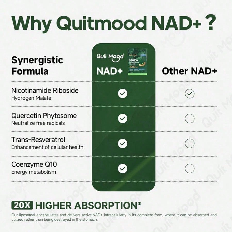 Quitmood NR1000Supplement -Liposomal Nicotinamide Riboside,Resveratrol,Quercetin By Quitmood- High PurityNAD Supplement For Skin Aging Support, Energyand Focus -80 Capsules Healthcare FitnessDietary Edible