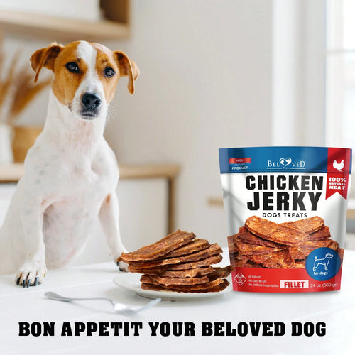 Beloved Pets Chicken Jerky Dog Treats 1.5 Lb - Human Grade Pet Snacks & Grain Free Meat - High Protein Dried Strips - Best Chews For Training Small & Large Dogs - Bulk Soft Pack - Lab Tested In The USA
