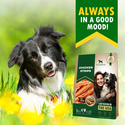 Beloved Pets Chicken Jerky Strips Dog Treats - Human Grade Meat Sticks - Natural Pet Dried Snacks Rawhide - Free - Long Lasting Chews For Large & Small Dogs - Best For Training & Healthy Teeth - Lab Tested In The USA