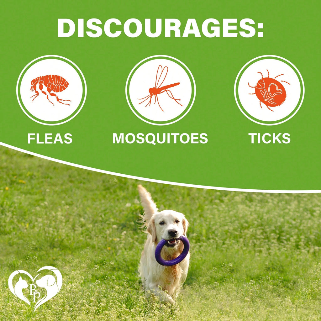 Beloved Pets Flea & Tick Support Chicken Flavor Chewable Pills For Dogs, 10-Oz Pack