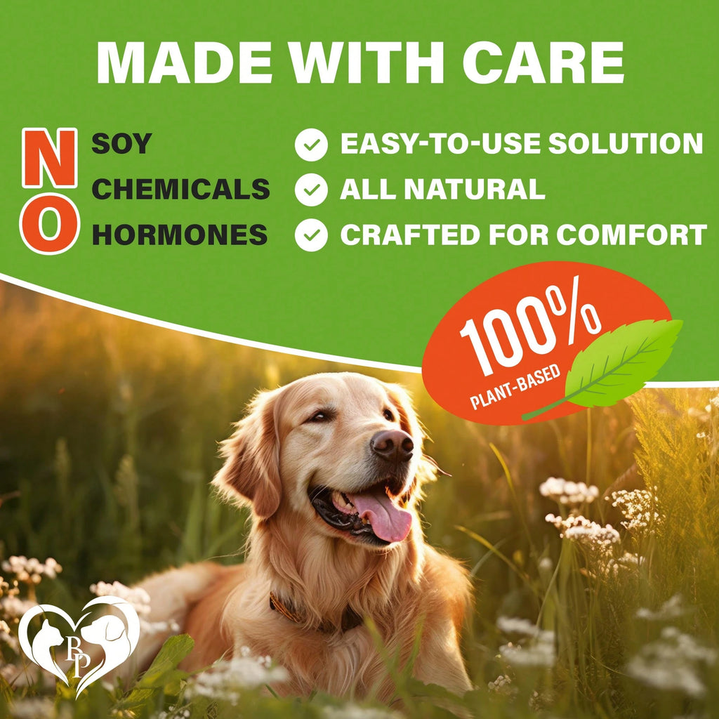 Beloved Pets Flea & Tick Support Chicken Flavor Chewable Pills For Dogs, 10-Oz Pack