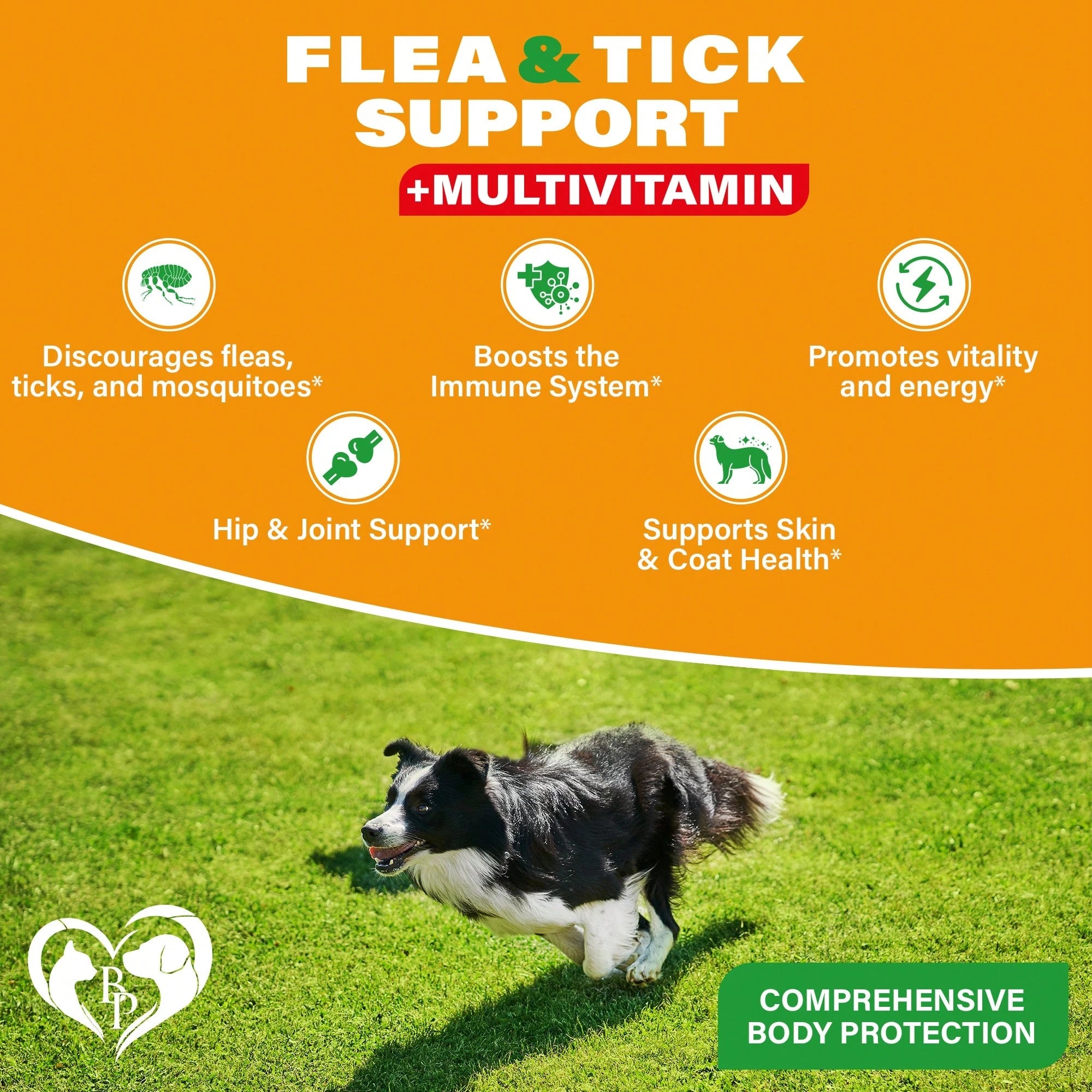 Beloved Pets Natural Skin & Coat Support + Multivitamin Complex Chicken Flavored Soft Chews For Dogs, 10-Oz