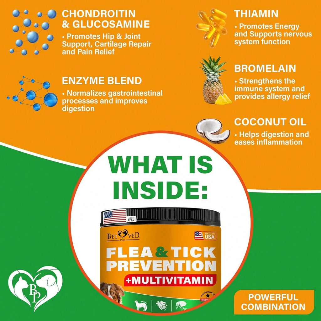 Beloved Pets Natural Skin & Coat Support + Multivitamin Complex Chicken Flavored Soft Chews For Dogs, 10-Oz