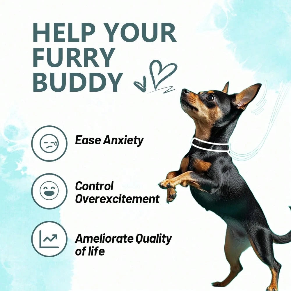 Calming Supplement Chews For Dogs Anxiety Relief - With Melatonin, ,Chamomile & L-Tryptophan - Stress Relief For Thunderstorms - Vet-Recommended Formula 120Ct(Beef)